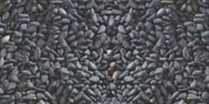 Sesame Seeds