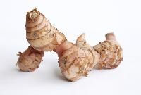 Galangal