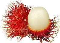 Rambutan