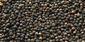 Black Pepper Seeds