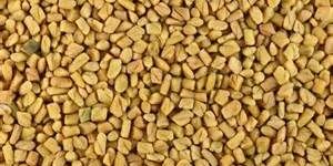 Fenugreek Seeds