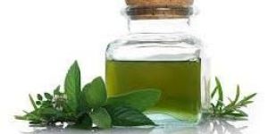 Peppermint Oil