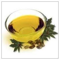 Spearmint Essential Oil