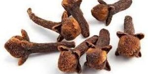 Cloves