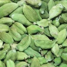 Green Cardamom