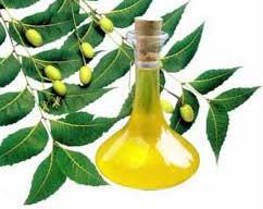 Neem Oil
