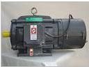 Crane Brake Motor