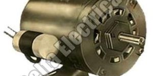 Single Phase Squirrel Cage Motor