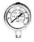 Stainless Steel Pressure Gauge