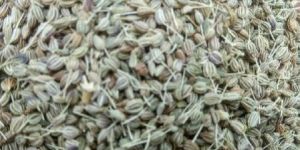Ajwain Seed