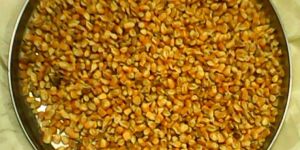 Yellow Maize for Animal Feed