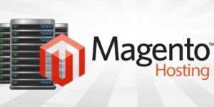 Magento Development Services