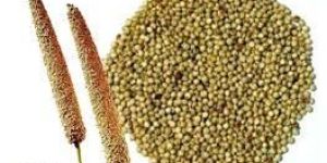 Millet