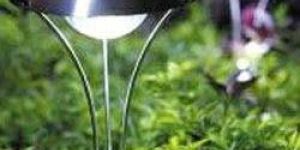 Solar Garden Lights