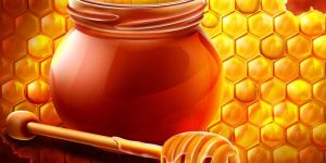 Bee Honey