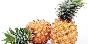 Fresh Pineapple