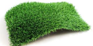 Artificial Grass