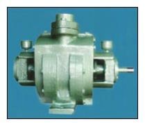 Water Ring Vacuum Pump