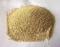 Yeast Powder