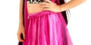 Net Lehenga Choli