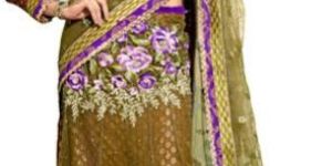 Viscose Net Embroidered Lahenga Saree