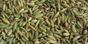 Fennel Seeds