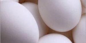 Chicken Eggs