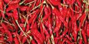 Dried Red Chilli