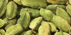Green Cardamom