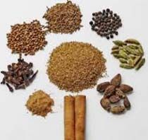 Garam Masala