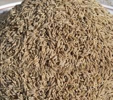 Cumin Seeds