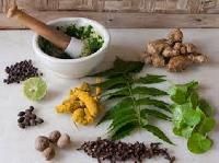 Ayurvedic Herbal Medicines
