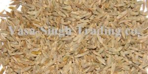 Cumin Seed
