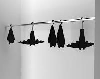Designer Hangers