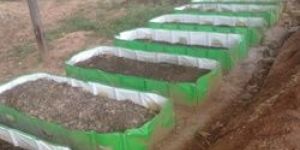 Vermicompost