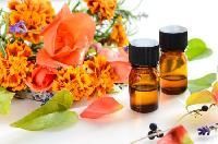 Tagetes Oil