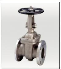 Cast Steel Valve