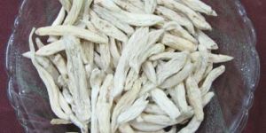 Chlorophytum Tuberosum