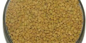 Fenugreek Seeds