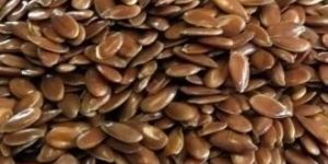 Linum Usitatissimum (Alsi Beej)