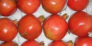 Fresh Pomegranate