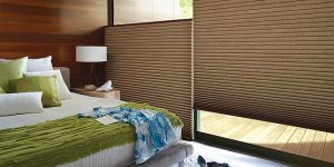 Duette Window Blinds