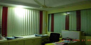 Vertical Window Blinds