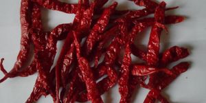 Red Chillies