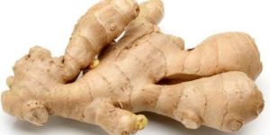 Fresh Ginger