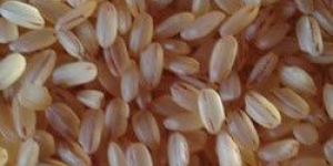 Palakkadan Matta Unda Rice