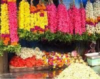 Flower Garlands