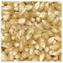 White Maize
