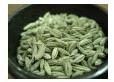 Fennel Seeds
