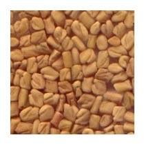Fenugreek Seed